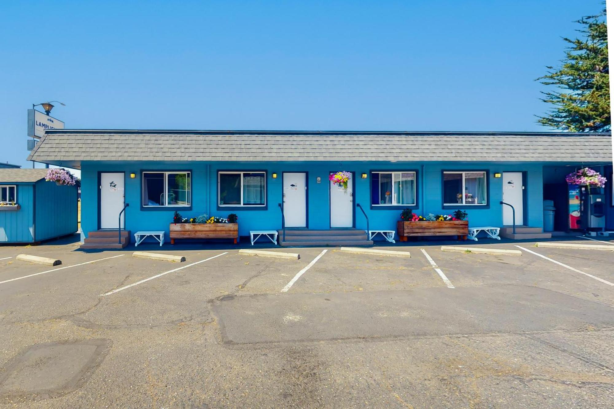 Lamplighter Inn - Tropical Fish Cove And Octopus Encounter Bandon Exterior foto